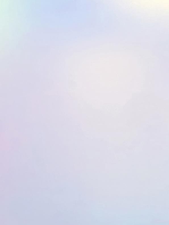 COVER STYL Steel Aurora Prestige - Aurora SS-AU01