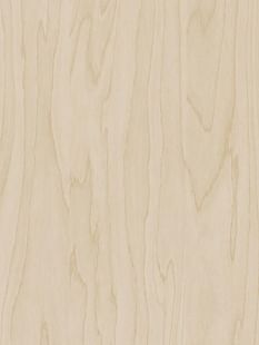 COVER STYL Wood Light - Gold Pale Birch SS-CT19
