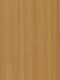 COVER STYL Wood Medium - Honey Birch SS-CT22