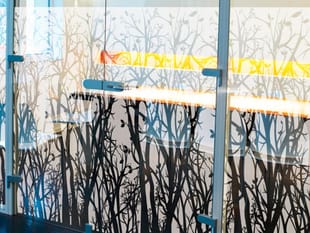 Pellicola decorativa Floral (152cm X 30,5metri)