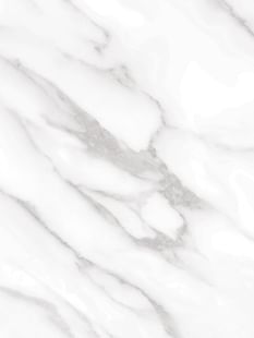 COVER STYL High Resistance Stone Marble - Statuary White SS-HR-NE31
