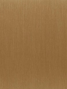 COVER STYL Steel Brushed - Stripes Gold SS-ND02