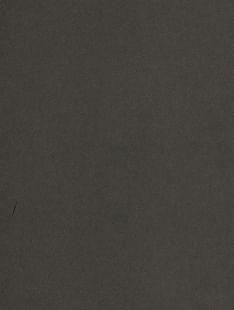 COVER STYL Textile Leather - Truffle SS-NE40