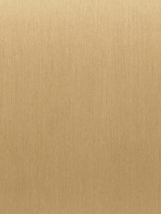 COVER STYL Steel Brushed - Soft Gold SS-NE47