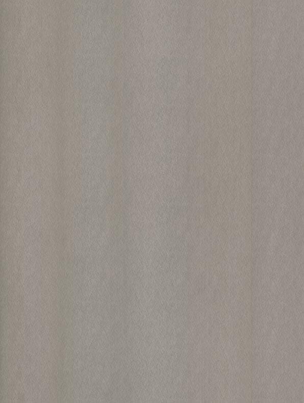 COVER STYL Steel Brushed - Champagne Silver SS-NE51