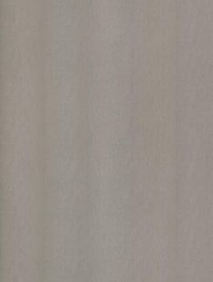 COVER STYL Steel Brushed - Champagne Silver SS-NE51