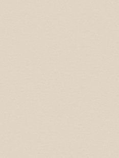 COVER STYL Concrete Pure - Snowflake Stucco SS-NH49